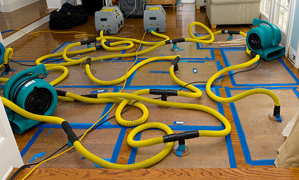 Professional Water Damage Restoration technician working in Malcolm, NE